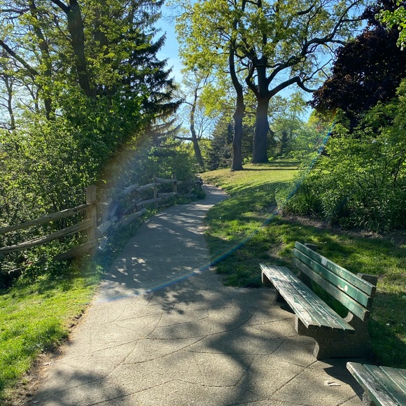 Meet your Posher, Emma - Picture 3 of 9